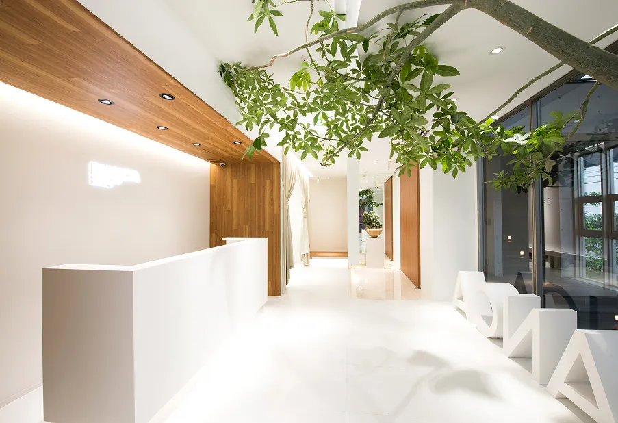 BIANCA CLINIC Omotesando consultation room photo 5