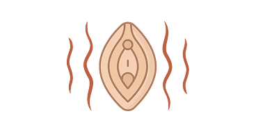 Are concerned about volume loss and deflation of the labia majora
