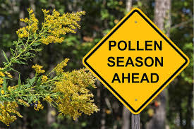 Manage allergy with food and supplements! An internal medicine specialist explains how to control it from within